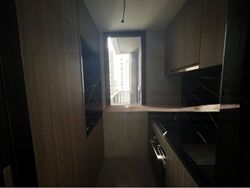 Irwell Hill Residences (D9), Apartment #450254821